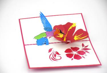 Open Card Now pop up cards project image