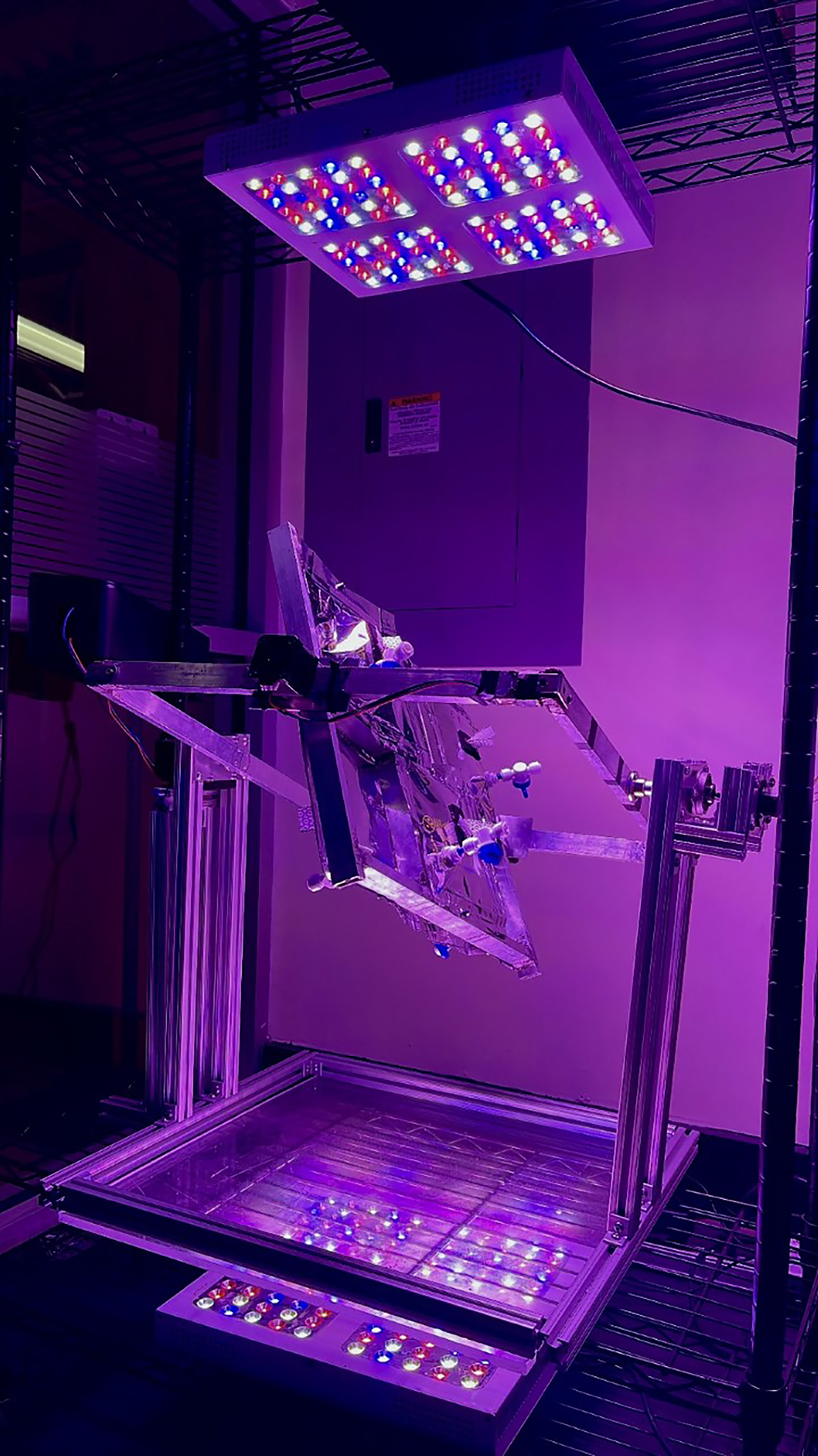 3D Clinostat for the Study of Mature Plants During Microgravity Simulation project image