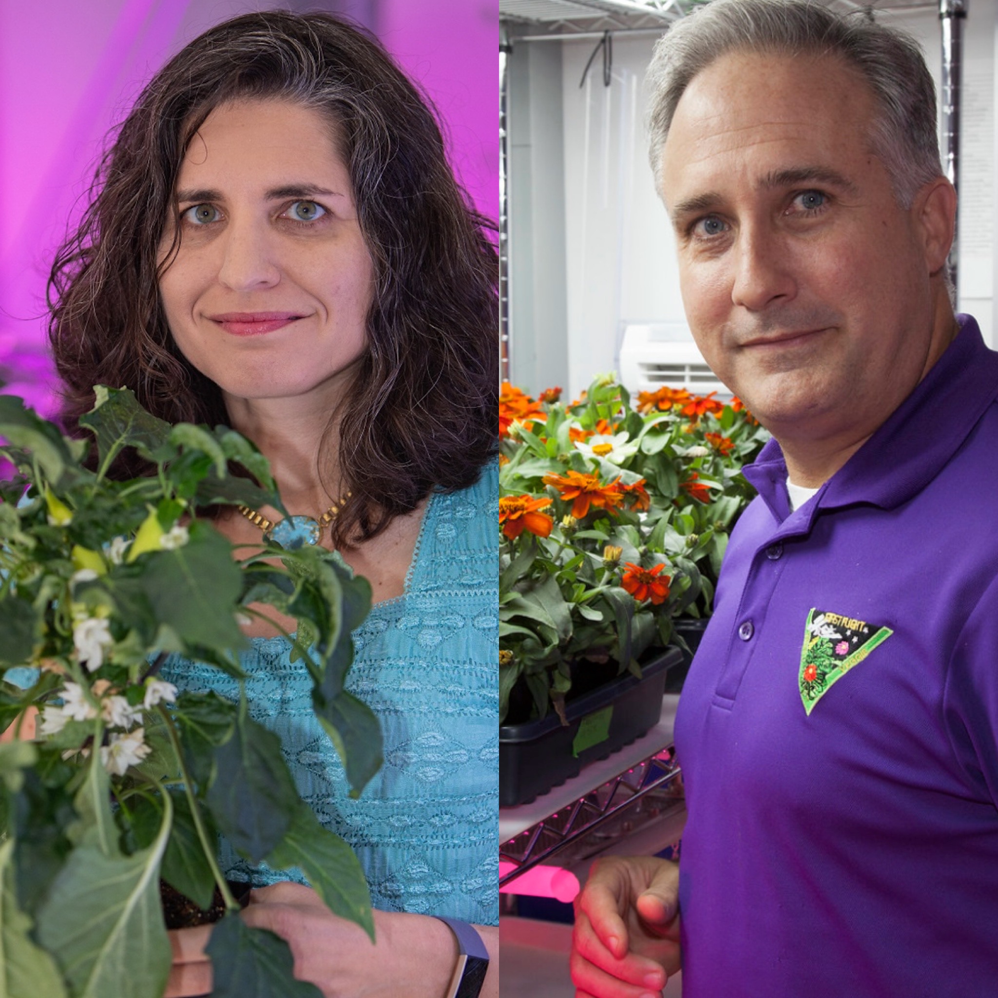 Growing plants in Space project image