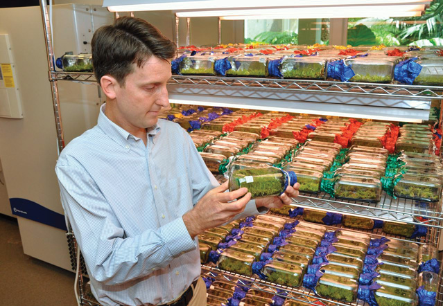 Making and Tech in a Botanic Garden: Crowdsourcing a Greener Future project image