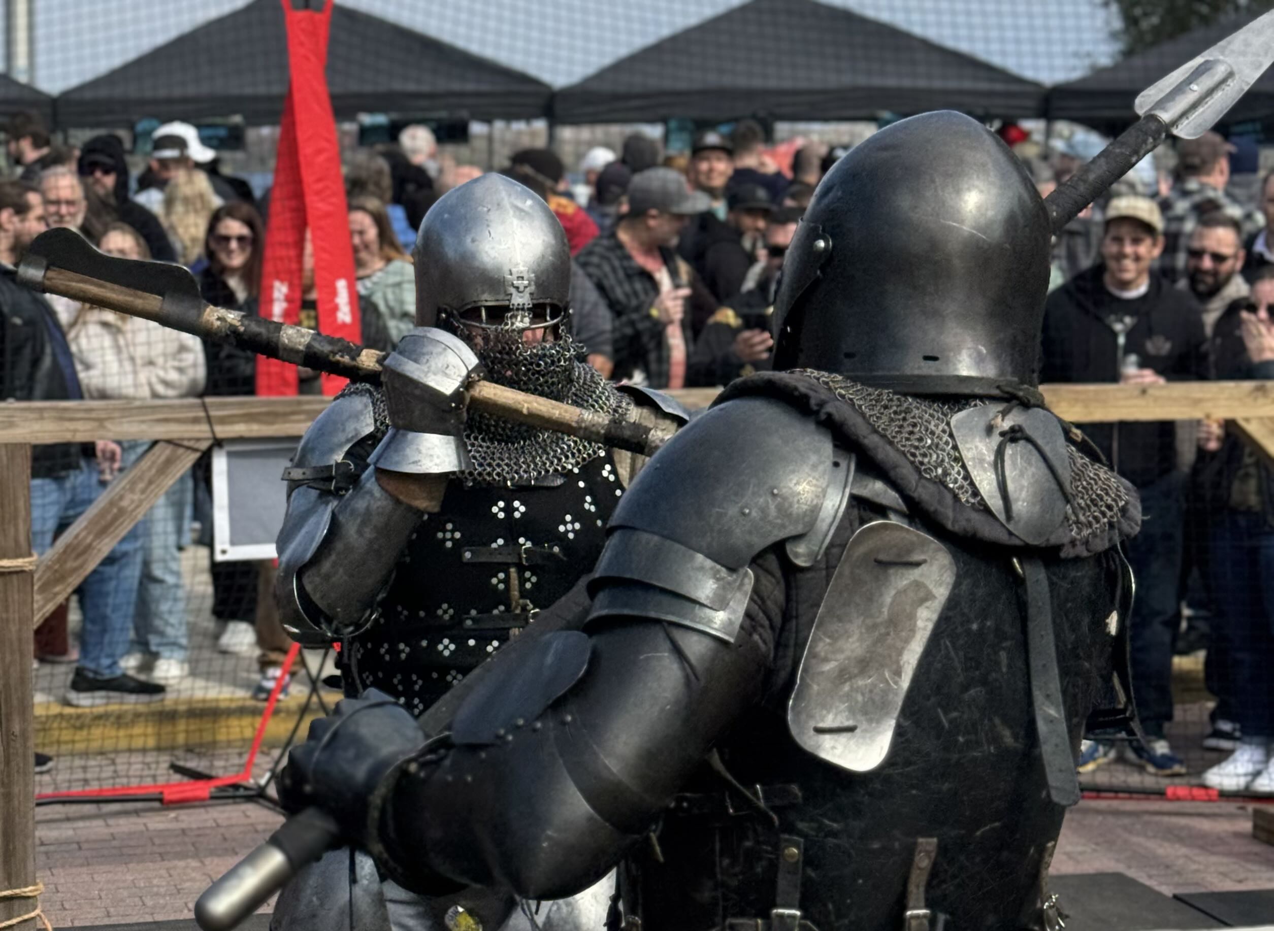 Medieval Armored Combat - exhibit detail 5