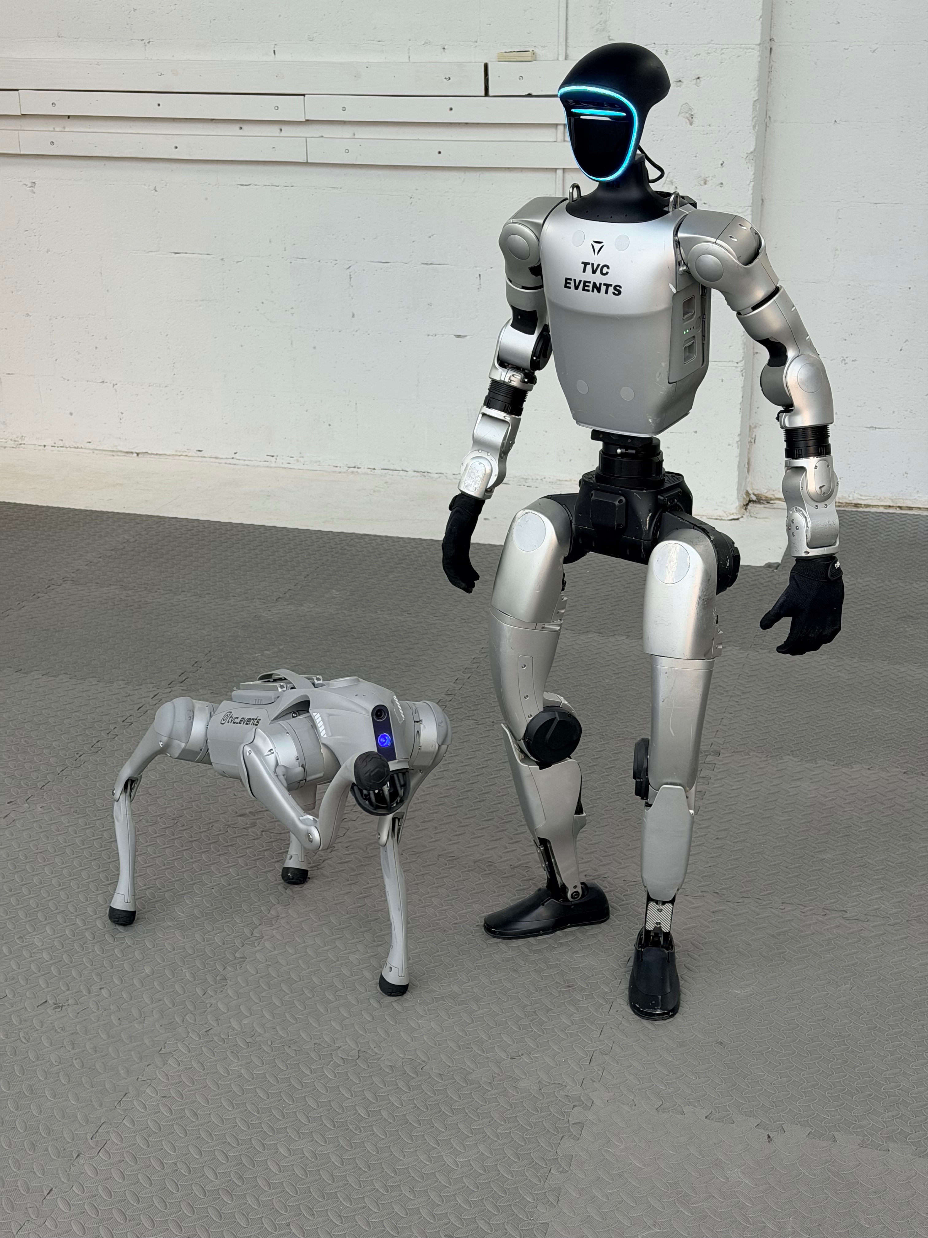 TVC Robotics & Events - exhibit detail 1