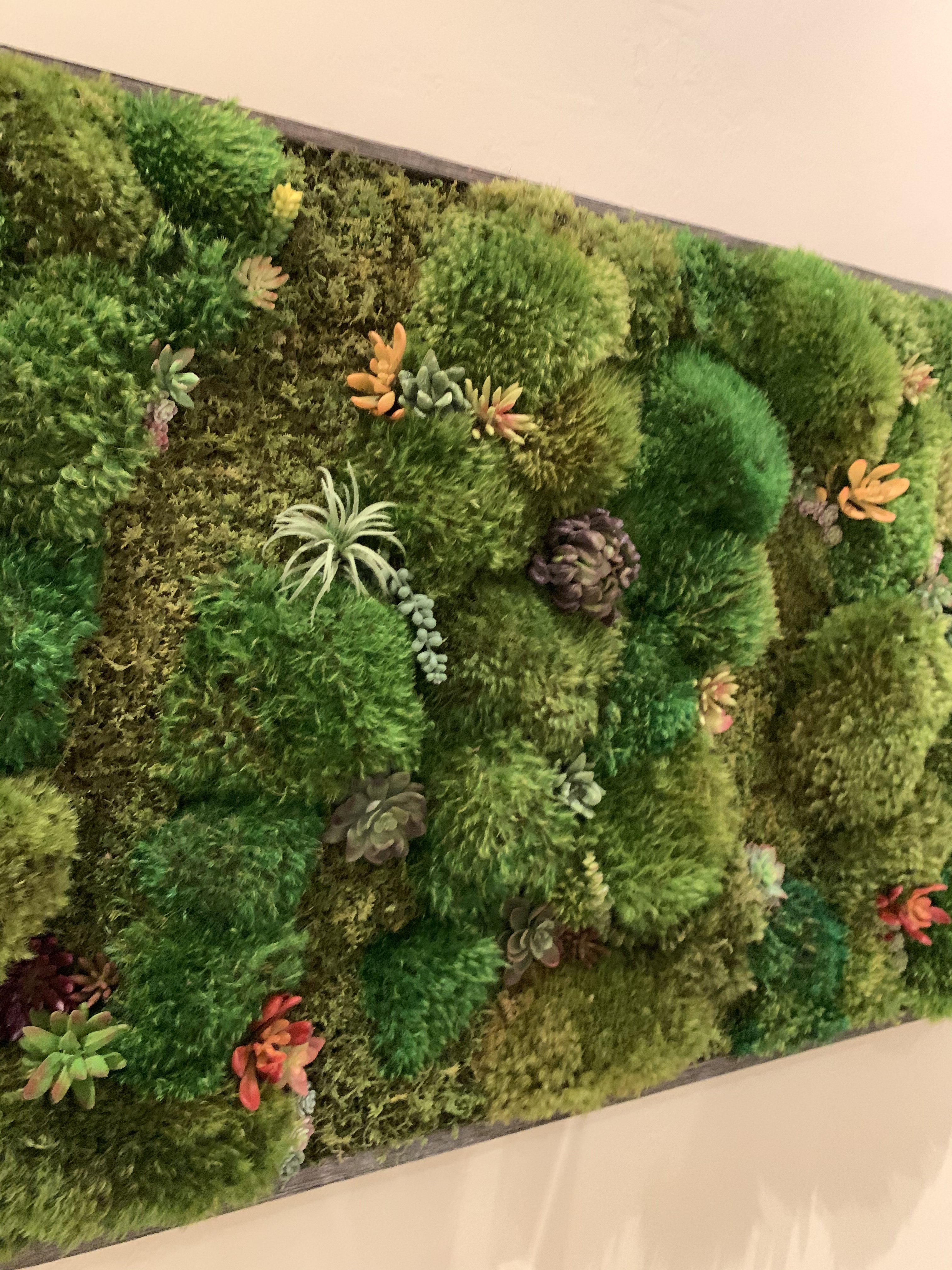 Lacada Moss Designs project image